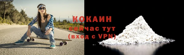 меф Ельня