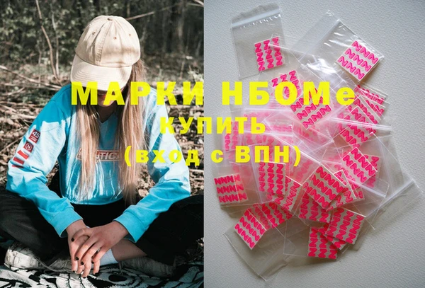меф Ельня