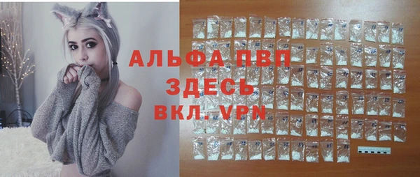 меф Ельня