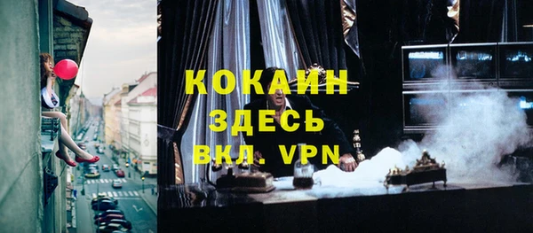 меф Ельня