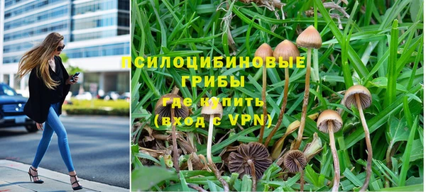меф Ельня