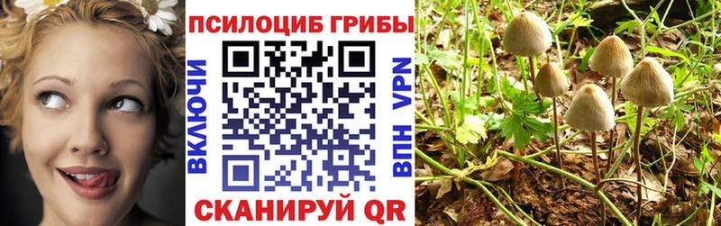Псилоцибиновые грибы прущие грибы  Кирс 